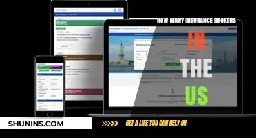 Exploring the Vast Network of Insurance Brokers Across the United States