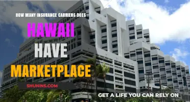 Exploring Hawaii's Health Insurance Marketplace: Carriers and Coverage Options