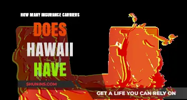 Exploring Hawaii's Insurance Landscape: How Many Carriers Operate in the State?
