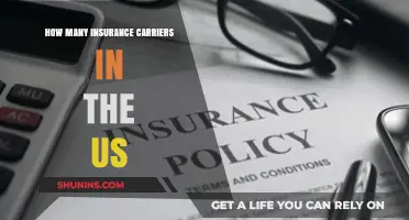 Exploring the Vast Landscape of Insurance Carriers in the United States