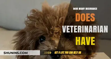 Understanding the Types of Insurance Veterinarians Typically Carry