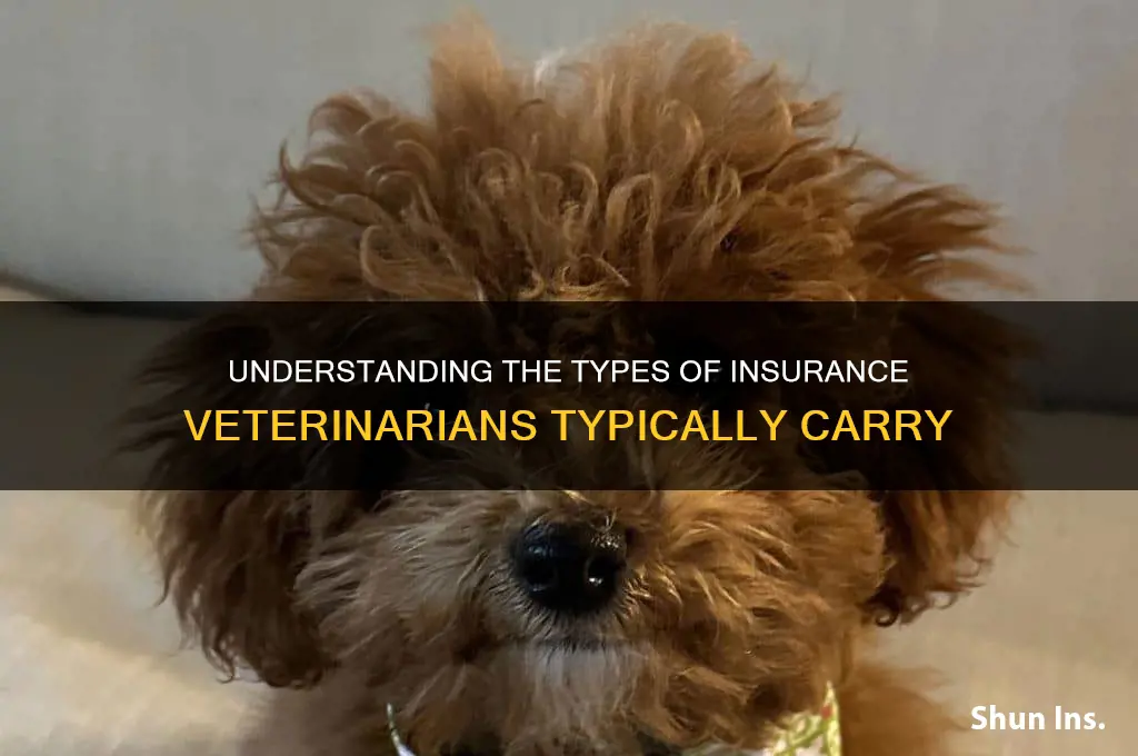 how many insurance does veterinarians have