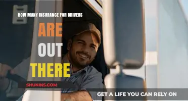 Exploring the Vast Array of Driver Insurance Options Available Today
