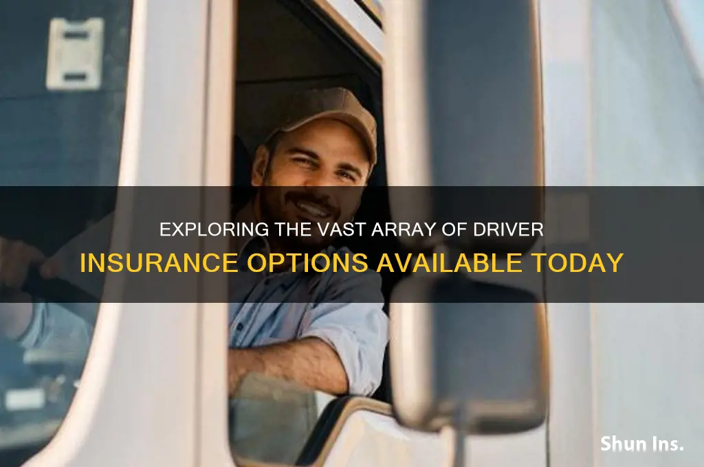 how many insurance for drivers are out there