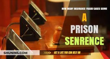 Insurance Fraud Penalties: How Often Does Prison Time Apply?