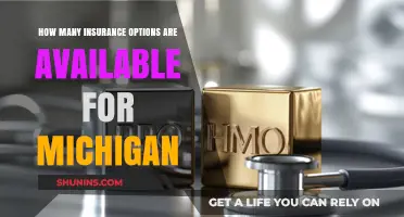 Exploring Michigan's Diverse Insurance Options: A Comprehensive Guide