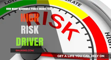Insurance Points: High-Risk Driver Classification