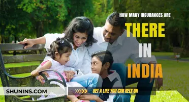 Exploring the Diverse Range of Insurance Options in India