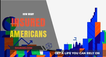 Understanding the Scope of Insured Americans: Trends and Insights