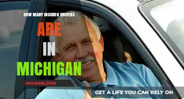 Michigan's Insured Drivers: Current Statistics and Coverage Insights