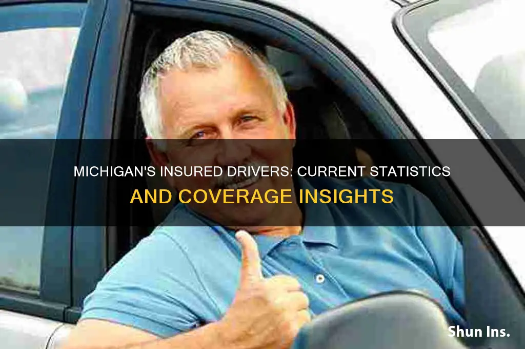 how many insured drivers are in michigan