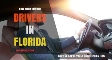 Florida's Insured Drivers: How Many?