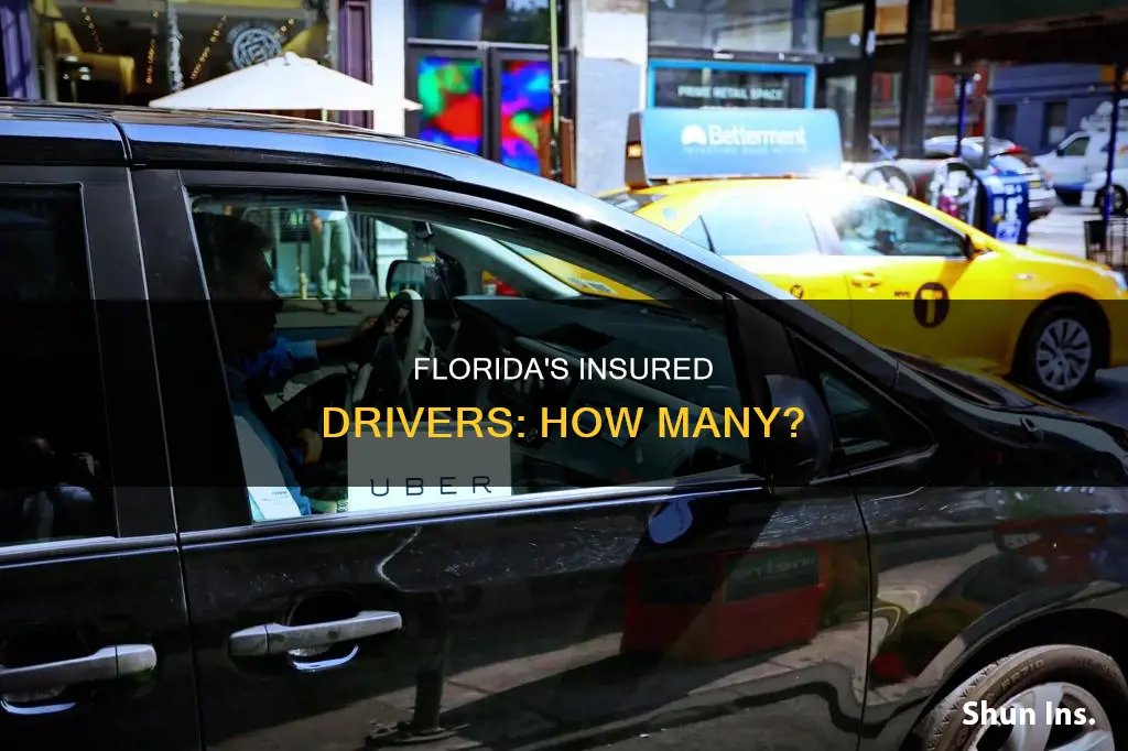 how many insured drivers in Florida