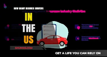 Insured Drivers in the US: Understanding Coverage Statistics and Trends