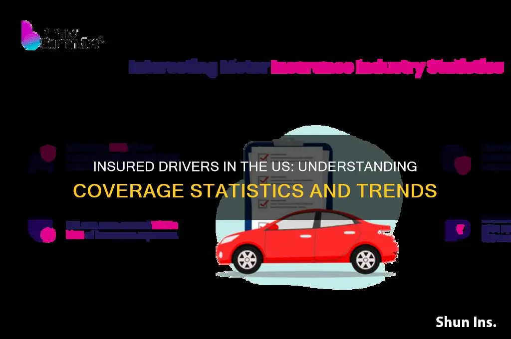 how many insured drivers in the us