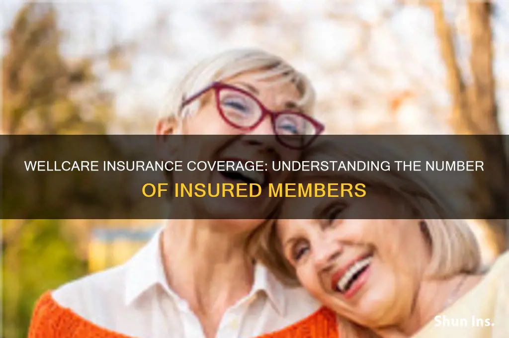 how many insured in wellcare