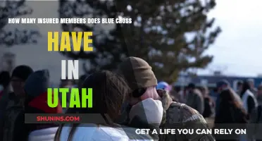 Blue Cross Utah: Insured Member Count and Coverage Insights