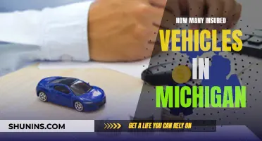 Michigan's Insured Vehicles: How Many?