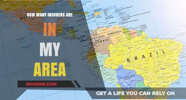 Discovering Local Insurers: How Many Are Available in Your Area?