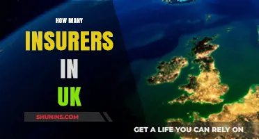 Exploring the UK Insurance Market: How Many Insurers Operate?