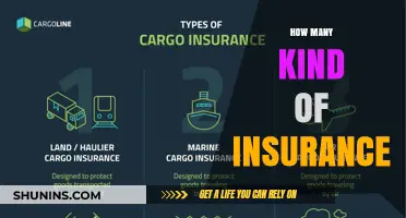 Explore Insurance Types: Know Your Coverage Options