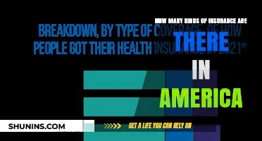 Explore the Many Types of Insurance in America