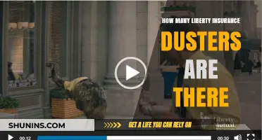 Exploring the Number of Liberty Insurance Dusters in the Market