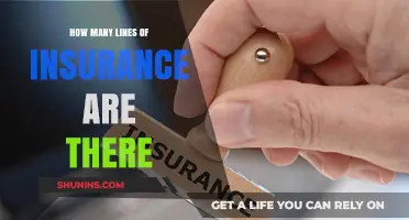 Exploring the Diverse Types of Insurance Lines Available Today