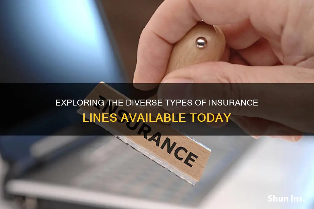 how many lines of insurance are there