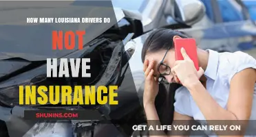 Uninsured Louisiana Drivers: How Many Are on the Road?