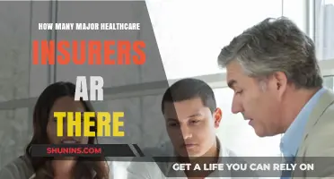Exploring the Landscape: Major Healthcare Insurers in the U.S