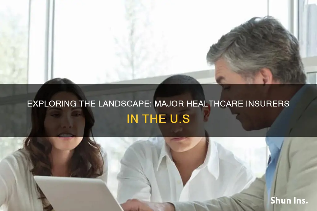 how many major healthcare insurers ar there
