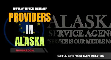 Medical Insurance Options in Alaska: A Comprehensive Overview