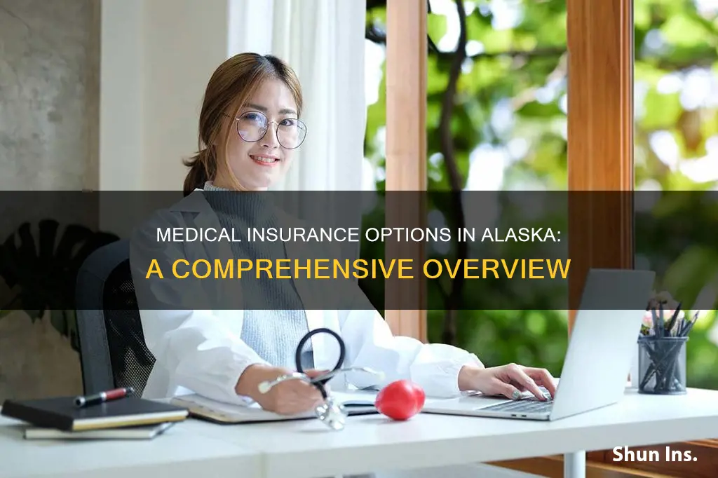 how many medical insurance providers in alaska
