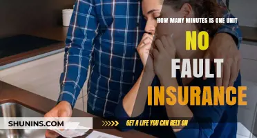 Understanding No-Fault Insurance: What Does One Unit Cover in Minutes?