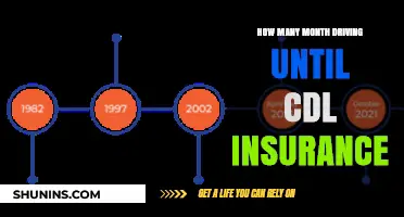 CDL Insurance Timeline: How Long Until Coverage Kicks In?
