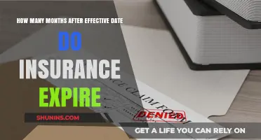 Understanding Insurance Expiry: Months After Effective Date Explained