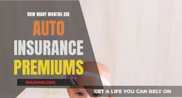 Auto Insurance Premiums: Monthly or Yearly Payment Plans