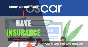 Tracking My Insurance Coverage: A Monthly Breakdown of Last Year's Protection