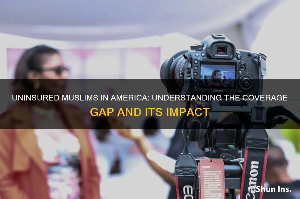 how many muslims are not insured in the us