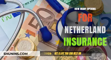 Exploring Diverse Insurance Options Available in the Netherlands