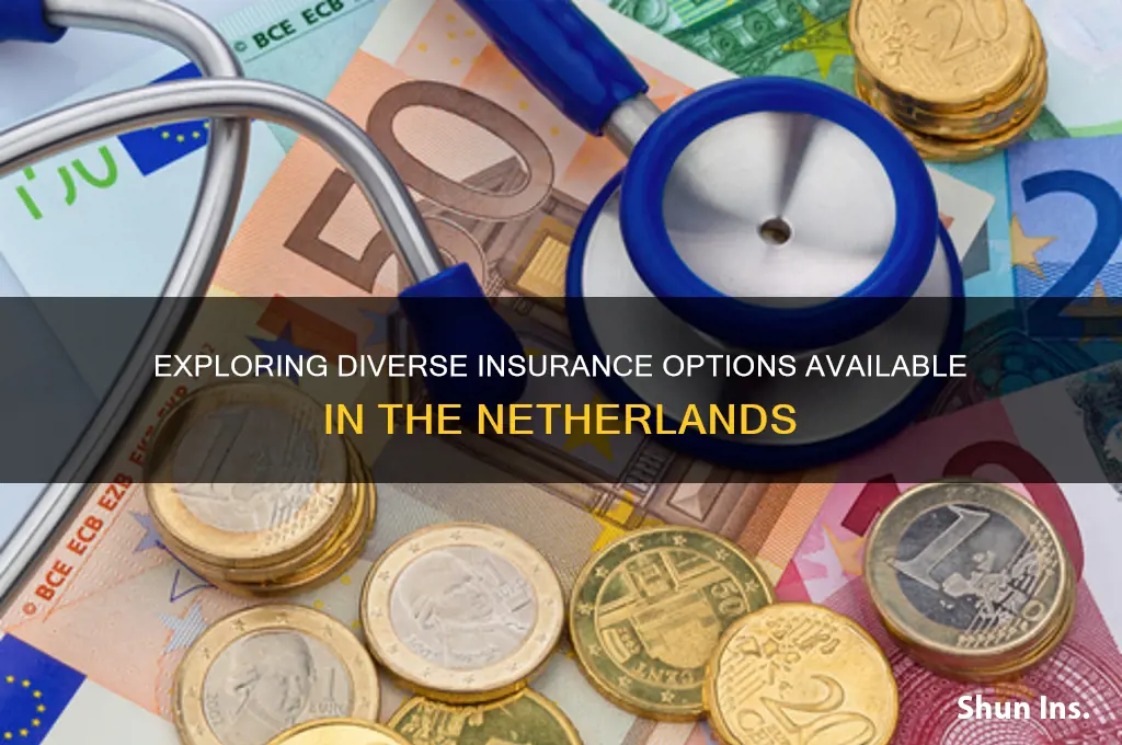 how many options for netherland insurance