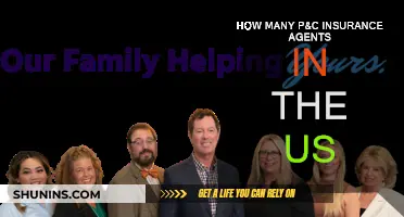 US P&C Insurance Agents: How Many Are There?