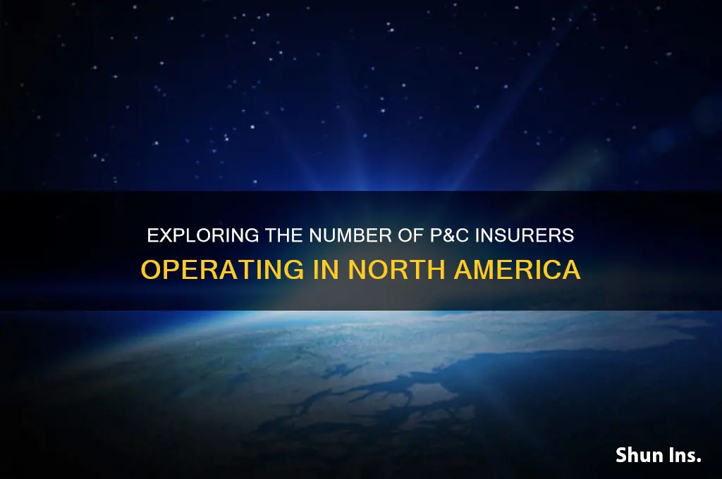 how many p&c insurance are operating in north america