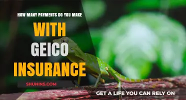 Making Payments with Geico: How Many and When?
