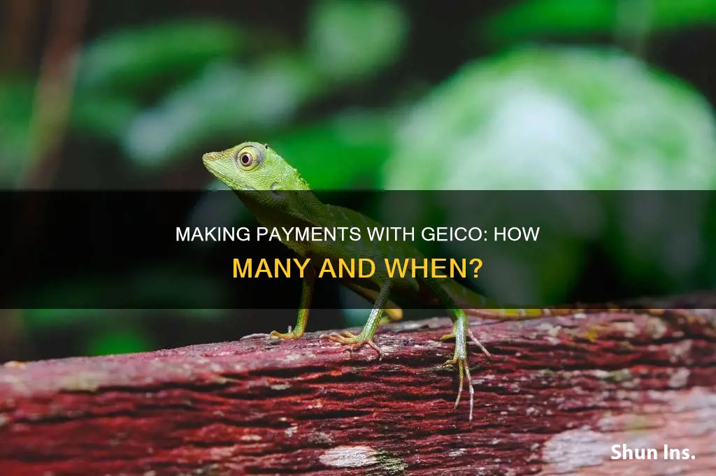 how many payments do you make with geico insurance
