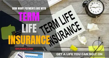 Term Life Insurance: Multiple Payments or One-Time Premium?