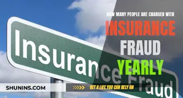 Insurance Fraud: Annual Accused Count