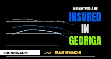 Georgia's Insured Population