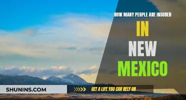 Insured in New Mexico: How Many?